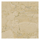 Classic Beige